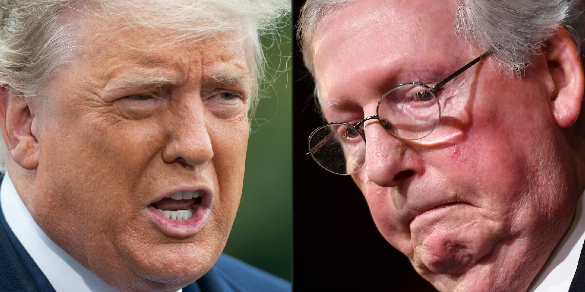 Mitch McConnell Called Donald Trump a ‘Stupid’ and ‘Despicable Human Being’